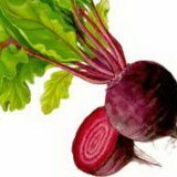 Народные средства для очищения печени