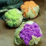 Полезные свойства видов капусты