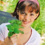 Травы для успокоения нервной системы