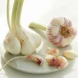 Применение чеснока для лечения заболеваний