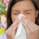 Виды аллергенов для организма человека