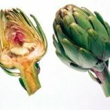 Польза артишоков для организма человека