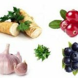 Натуральные антибиотики или синтетические препараты