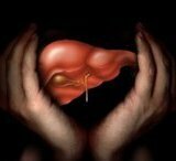 Препараты с функцией защиты печени