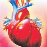 Пять уникальных народных средств от гипертонии